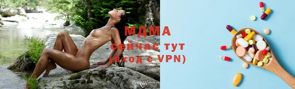 стаф Алексин