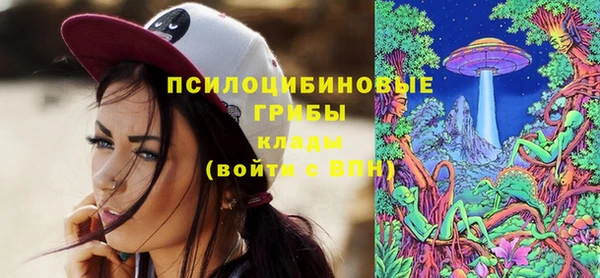 прущие грибы Армянск