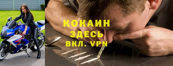 прущие грибы Армянск