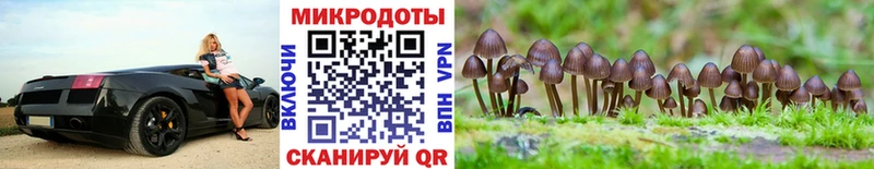 хочу наркоту  Усолье-Сибирское  Псилоцибиновые грибы GOLDEN TEACHER 